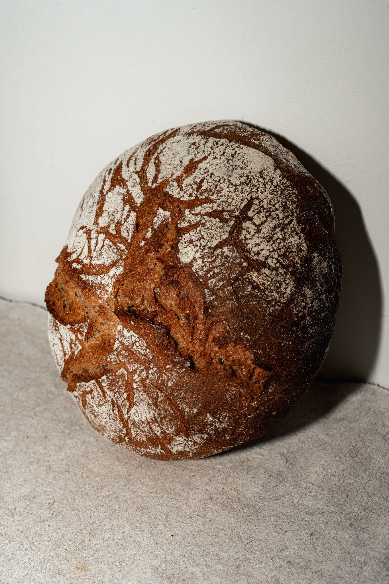 Petit épeautre (400g)